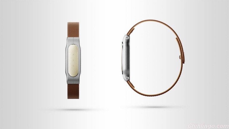 Xiaomi Mi Fitness Band.jpg