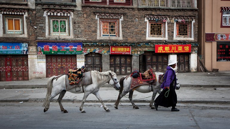 塔公镇的街上常见的景象。A common sight on Tagong streets..jpg