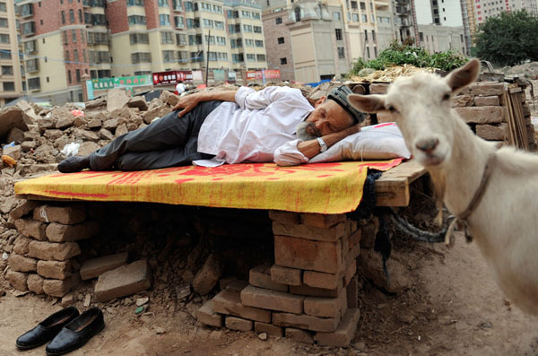 Afternoon-nap-china-04.jpg