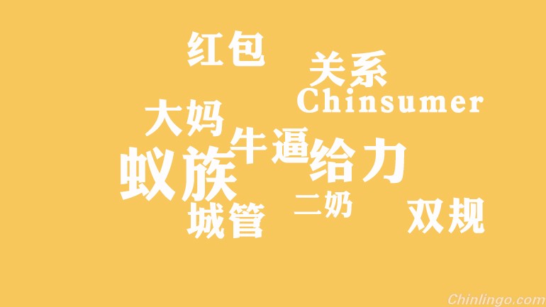 10 new Chinese words quoted by Western media.jpg
