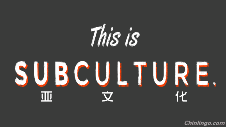 chinese cyber subculture, chinese culture