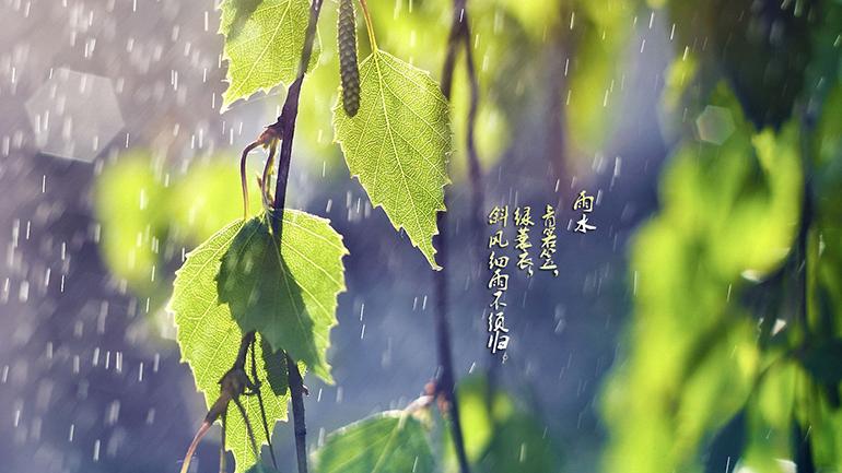 rain water, solar term, chinese culture
