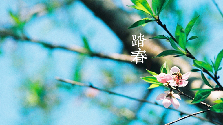 Spring season, learning Chinese