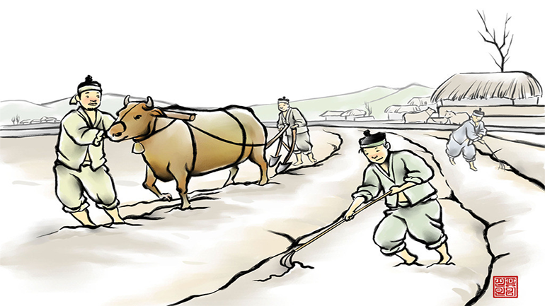 chinese culture, solar term