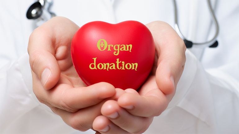 organ donation