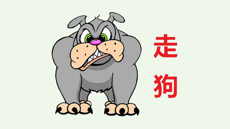 flunky, zougou, learn chinese