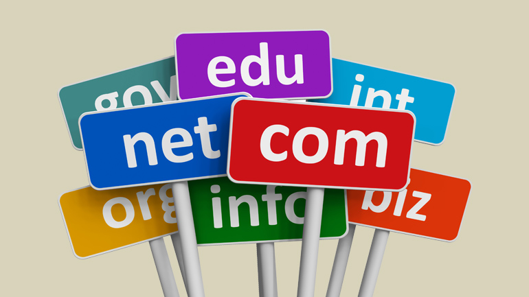 domain names, chinese law