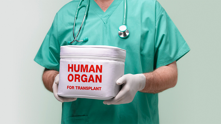 human-organ-donation