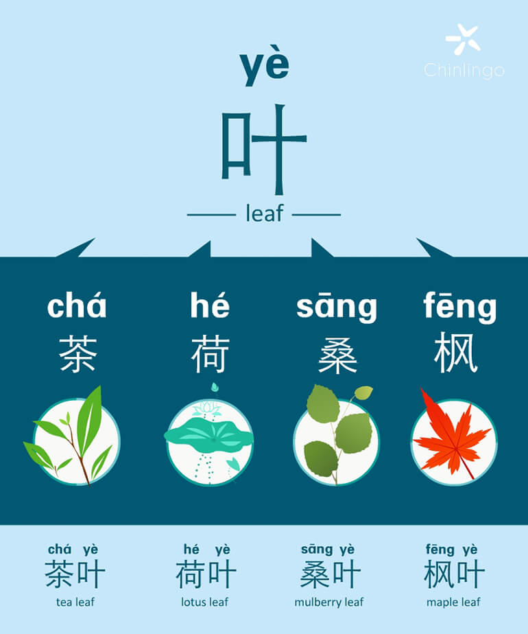 learn chinese, chinese character