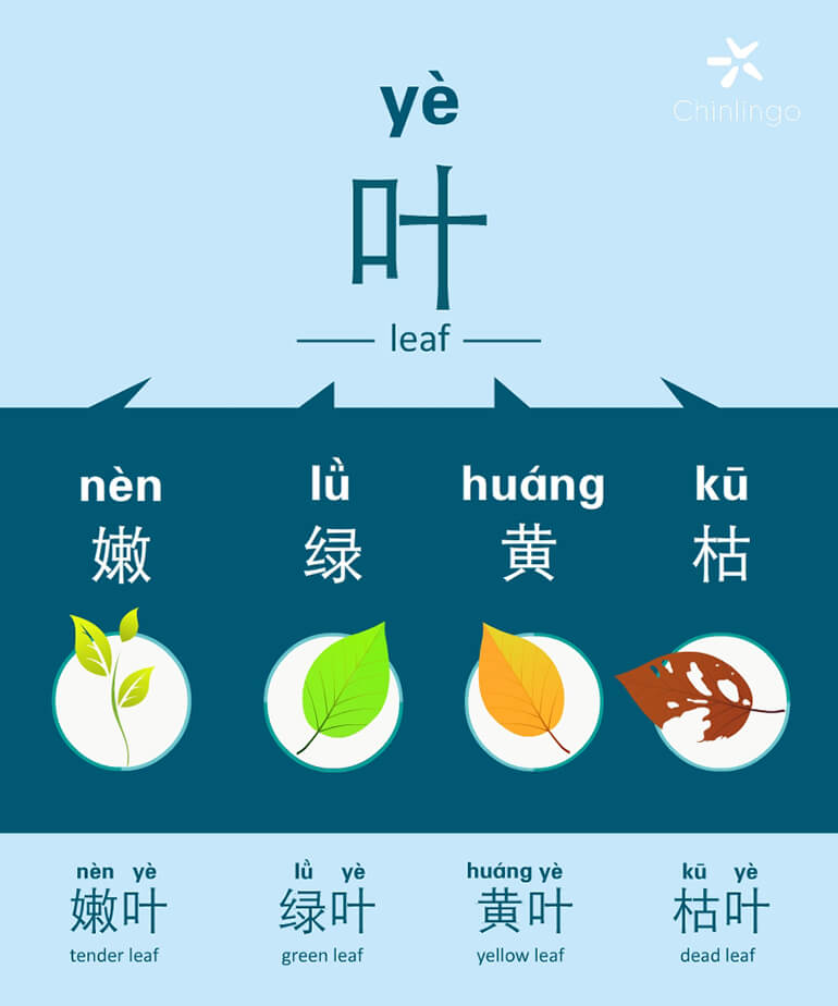 learn chinese, chinese character