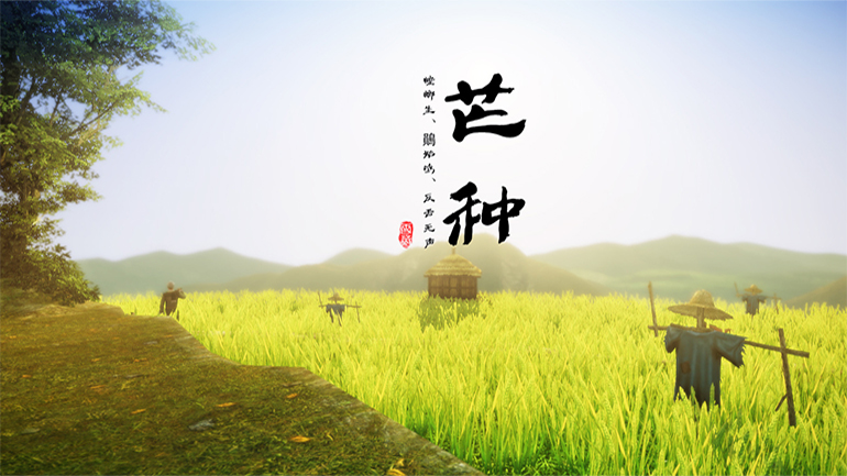 chinese culture, solar term, grain in ear, mangzhong